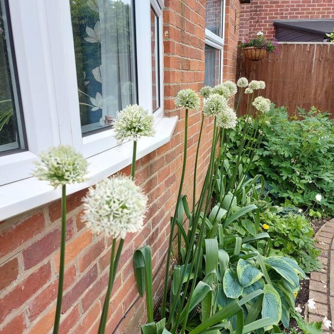 Cheerful, Cosy, One Bedroom Home With Patio And Parking Newbury  Kültér fotó